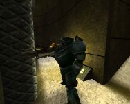 smarine peeks around the corner