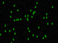 Small Forest