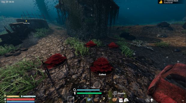 Underwater Red Algae Planter Sunkenland Image ModDB