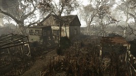 Southern Swamp