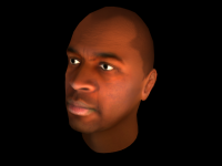 A face made for the Opperation Black Mesa Mod