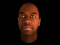 A face made for the Opperation Black Mesa Mod