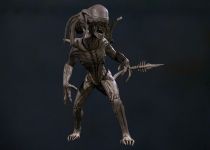 PredAlien