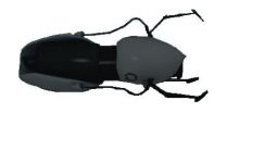 portal gun