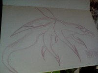the dragon