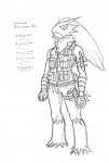 Assault Blaziken