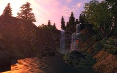 Oblivion - Detailed Forest