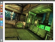 Unity 4 - Unity3d game running on Linux