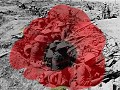 Great War History Buffs