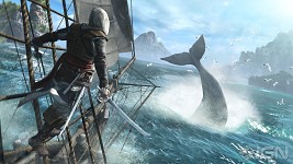 AC:4 Black Flag