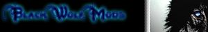 BWM Banner V2