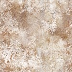 Frost Test 1024x1024 JPG