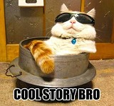 Cool cat. =D =P XD