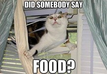 Lol. =D =P XD