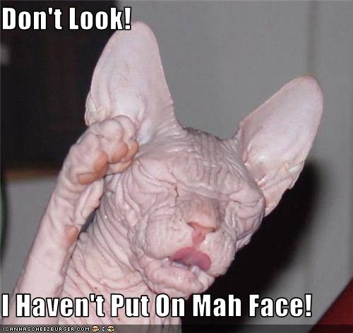 funny-pictures-cat-has-not-put-on-face.jpg