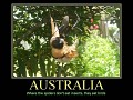 Stralia