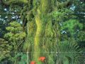 Secret of Mana