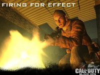 Firing for effect