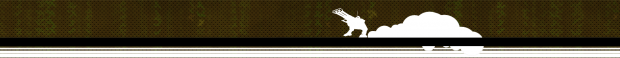 profile pimp
