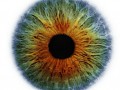 Visual Games