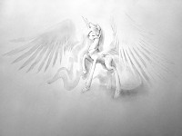 Celestia Sketch