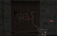 A few NZ:P PC screen shots