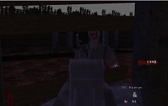 A few NZ:P PC screen shots