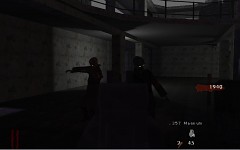 A few NZ:P PC screen shots