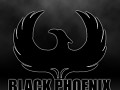 Black Phoenix Mod Studio