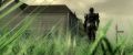 Grey Sky Released