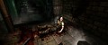Endarchy Released