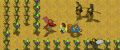 Labyrinthica the Quest of Lima Released