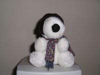Snoopy the Pilot