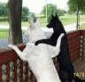 Testing the porch
