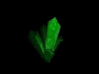the Crystals
