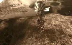 Wasteland Wanderers