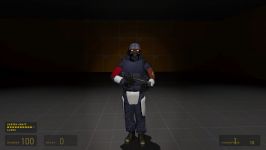 New Combine Skins