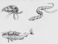 Concept Art