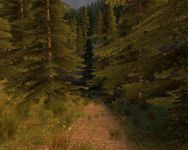 SGL_CONQUEST WIP