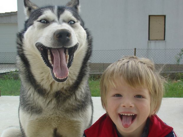 Ara & Anton