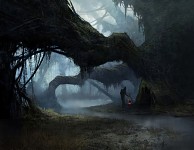swamp