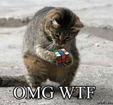 Catzx