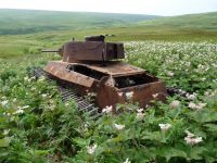 Type 97 Shinhoto Chi-Ha Medium Tank, Shumshu