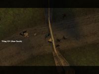 Scwred