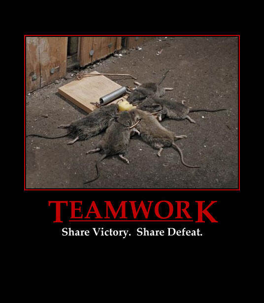 Team Effort