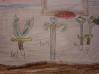 Concept Art