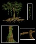 Tropical Tree