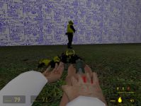 bitchback hl2