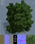 Tree (was supposed to be a beech tree.)