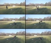 Roundoff Backflip